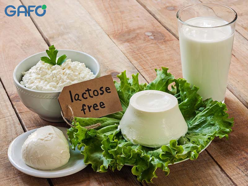 Lactose là gì?