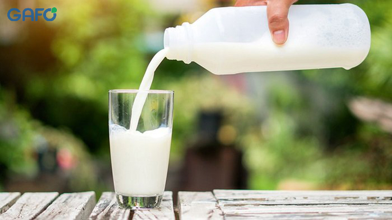 Nên uống sữa không đường hay sữa có đường?