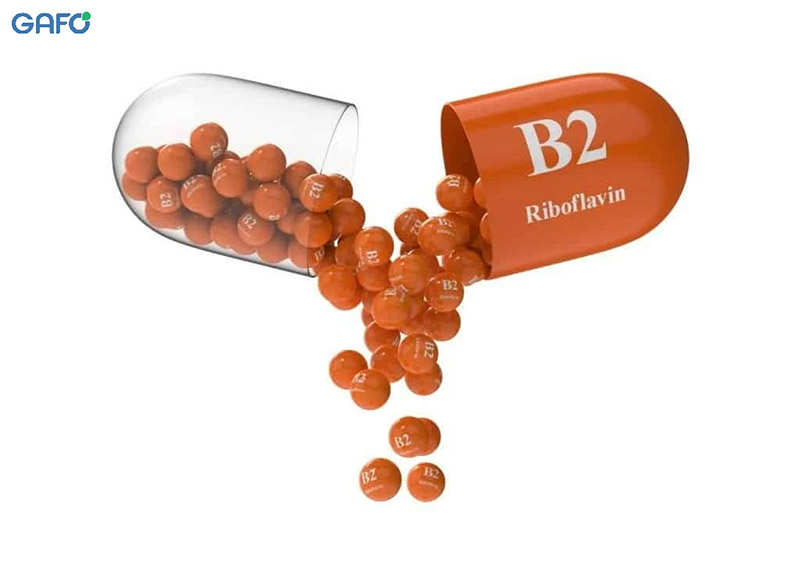 Vai trò của Vitamin B2 đối với cơ thể