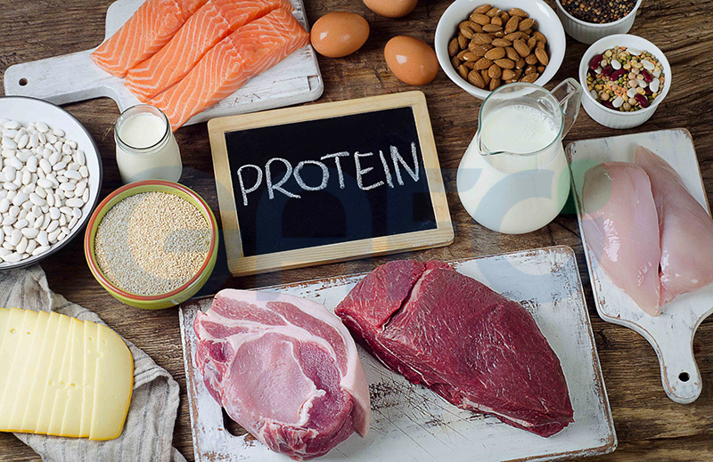 Tham khảo các thực phẩm giàu protein