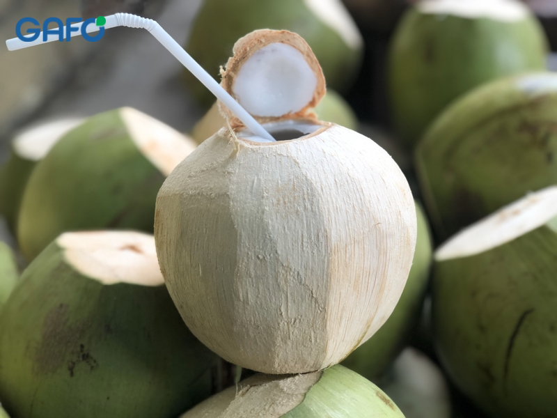 Uống nước dừa có tác dụng gì?