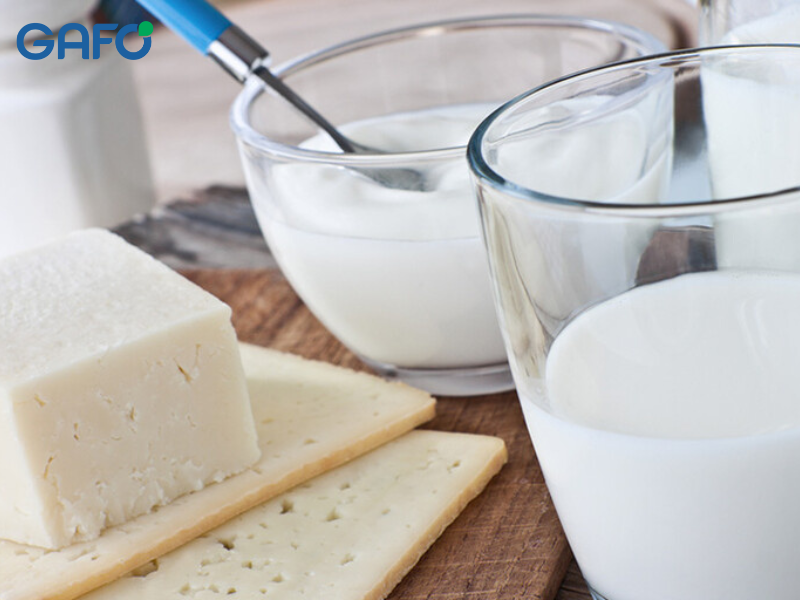 Sản phẩm sữa dành cho người bị dị ứng lactose