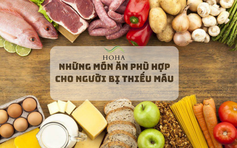 Những món ăn phù hợp cho người bị thiếu máu