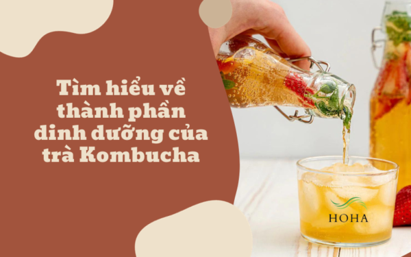 thanh-phan-dinh-duong-cua-tra-kombucha-08