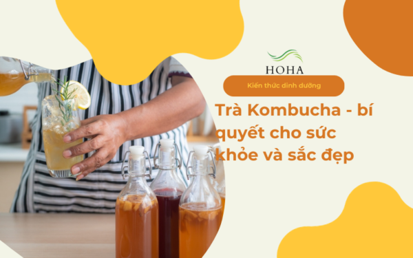 tra-kombucha-bi-quyet-cho-suc-khoe-va-sac-dep-08