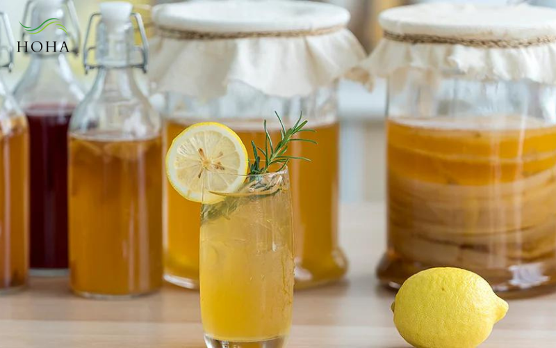 Các sản phẩm trà kombucha hiện nay