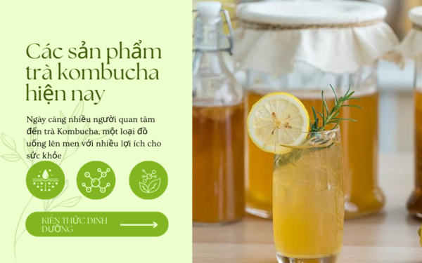 cac-san-pham-tra-kombucha-hien-nay-10