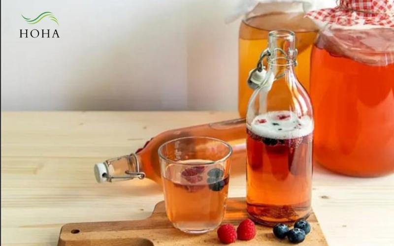 Các công thức pha trà Kombucha