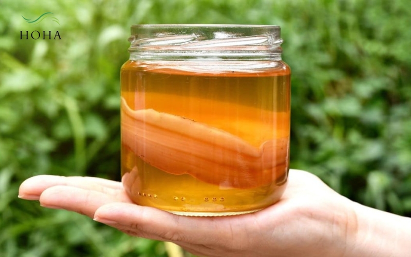 Các công thức pha trà Kombucha