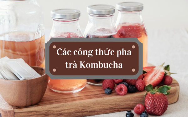 cac-cong-thuc-pha-tra-kombucha-08