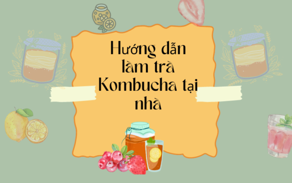 huong-dan-lam-tra-kombucha-tai-nha-07