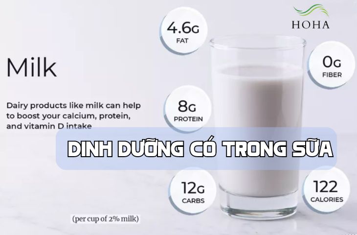 Khám phá thành phần dinh dưỡng có trong sữa