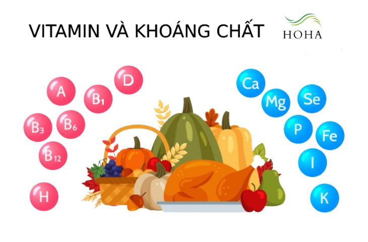 Sữa có chứa nhiều vitamin và khoáng chất tốt cho cơ thể