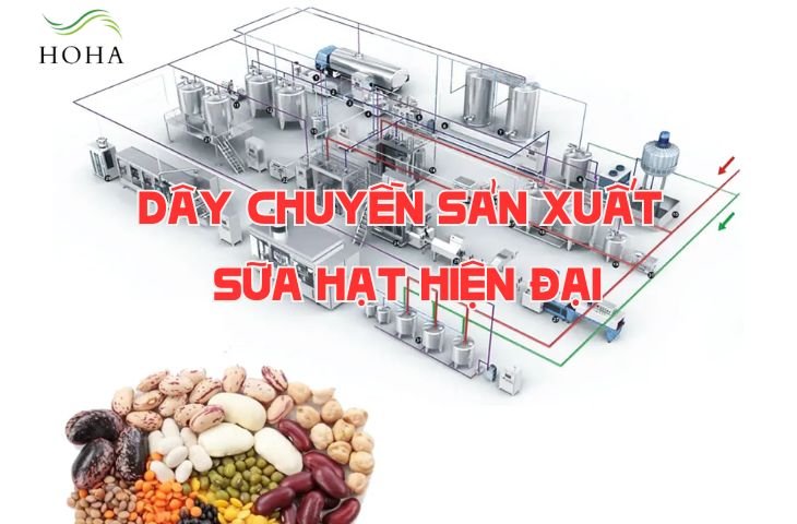 Khám phá dây chuyền sản xuất sữa hạt hiện đại