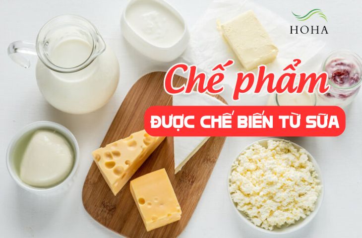 Tìm hiểu về các chế phẩm chế được chế biến từ sữa