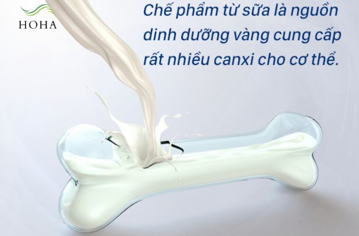 Lợi ích của chế phẩm từ sữa mang lại